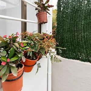 https://now-center.es-andalucia.com